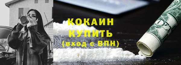 шишки Богданович